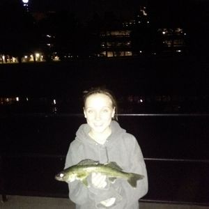 Meet your Posher, George